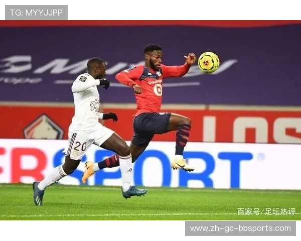 法甲外援在整个赛季中对球队成绩的关键影响因素研究